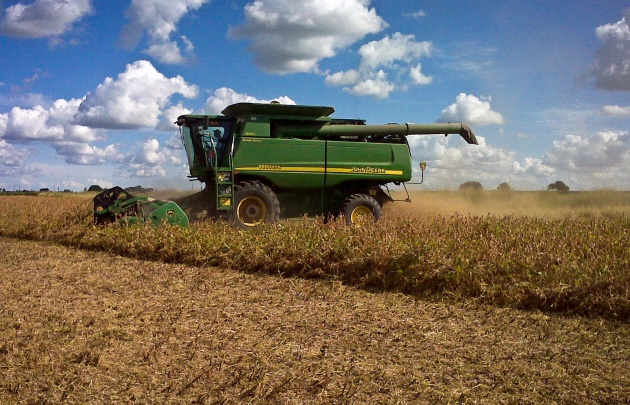 Estiman que por la sequía, la producción de soja bajará 30%