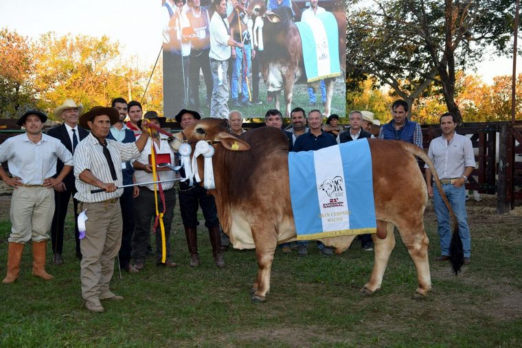 Torazo en mi rodeo. "La Pelada" obtuvo el gran campeón.