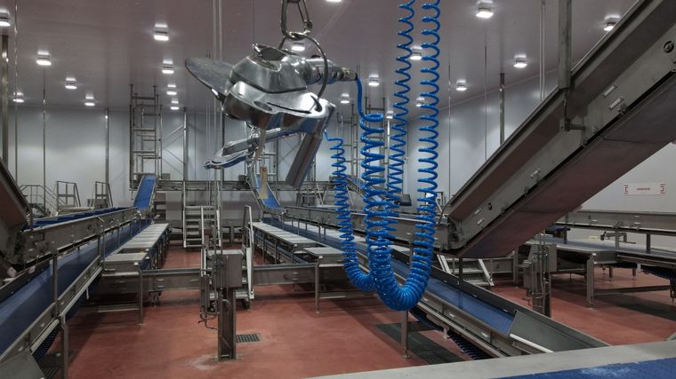 Interpork, frigorífico porcino que invirtió 2 mil millones de pesos en Córdoba