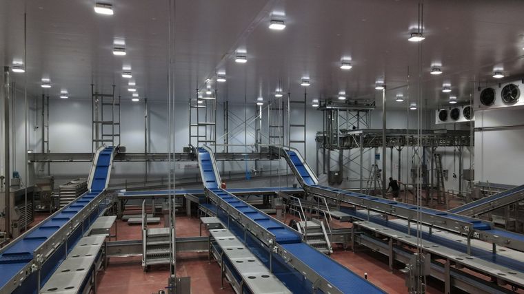 Interpork, frigorífico porcino que invirtió 2 mil millones de pesos en Córdoba