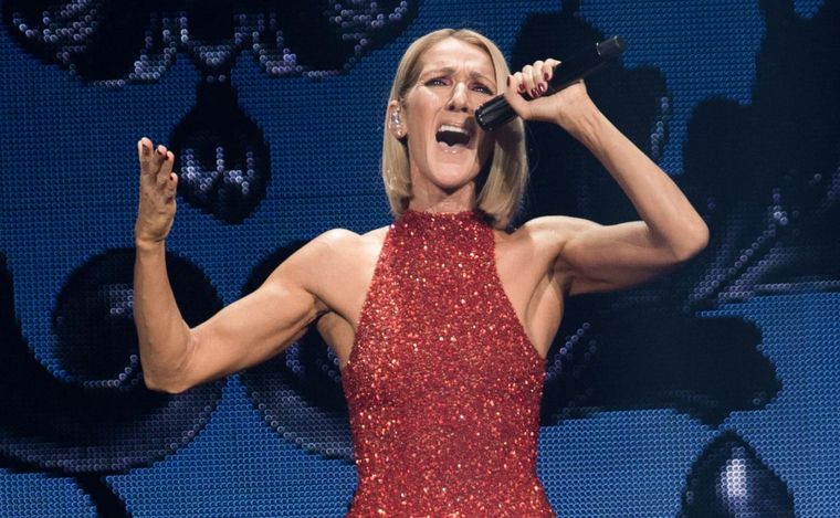 Céline Dion canceló la gira mundial a causa de su enfermedad.