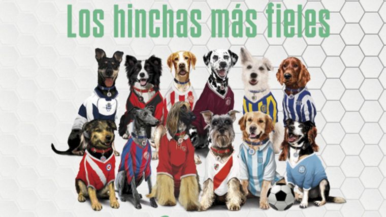 FOTO: Los hinchas de los clubes de Argentina podrán asociar a sus mascotas (Foto:SportyFan)