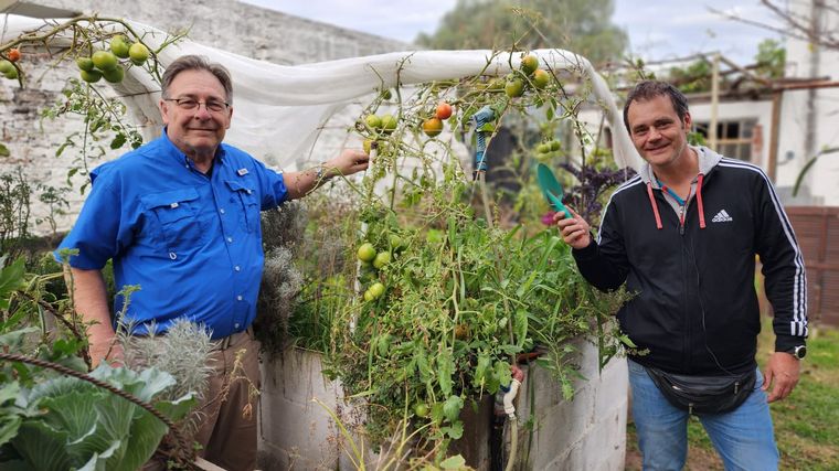 Cómo realizar la poda de un duraznero