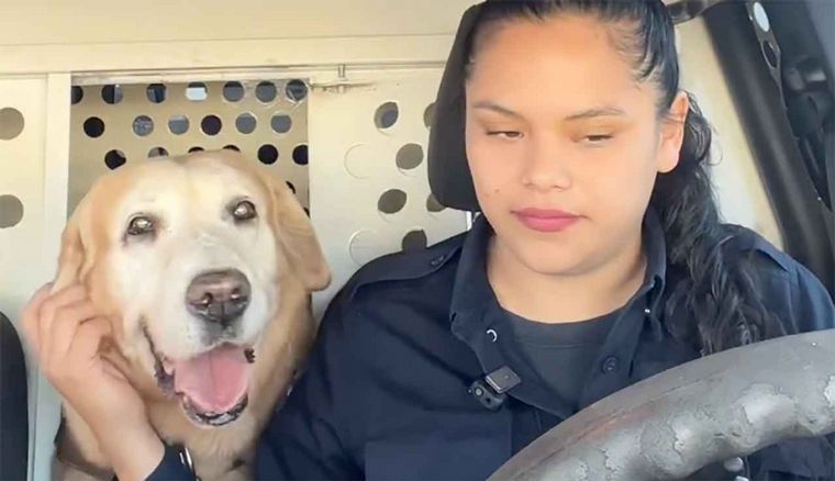 Video viral: la despedida a 