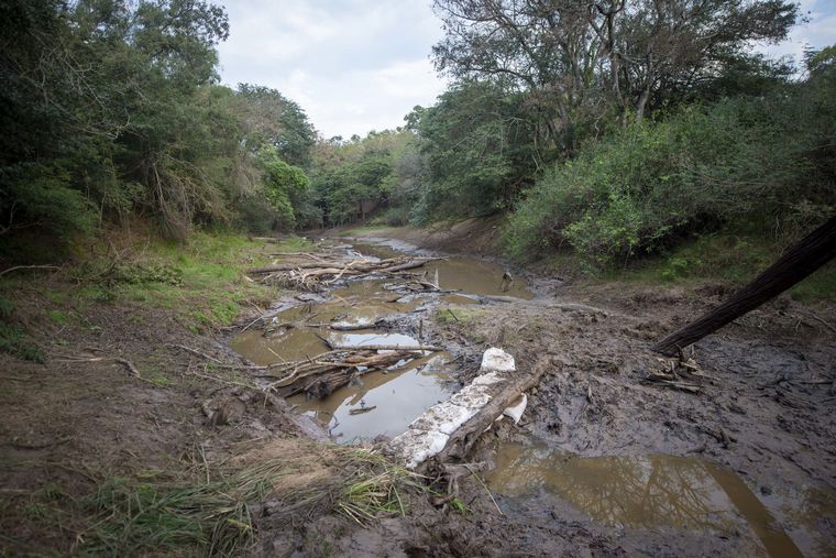 FOTO: Los restos fueron encontrados en cercanías al Río Tragadero.