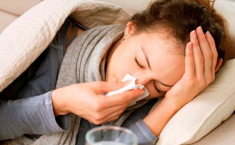 Fuerte suba de infecciones por Streptococcus pyogenes. (A24)