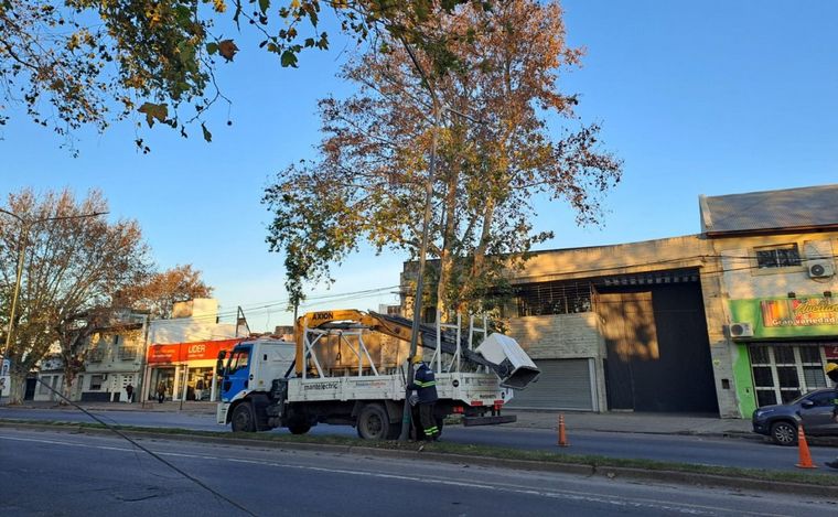 Columna caída en zona oeste de Rosario perjudica el tránsito. 