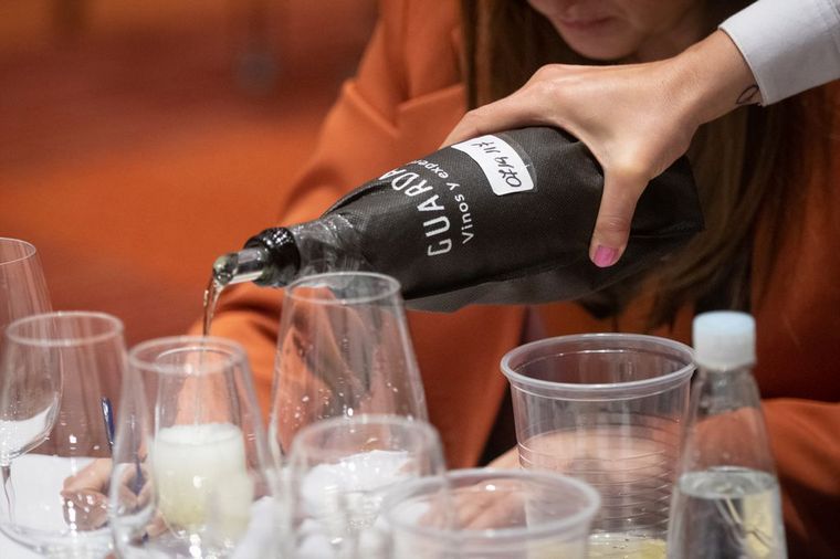 Concurso Nacional de Vinos y Espirituosas Guarda14 (Foto: Guarda14)