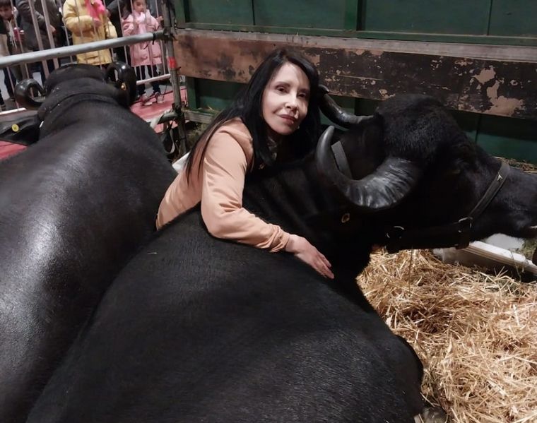 FOTO: María explicó cómo es la crianza de búfalos en Argentina.