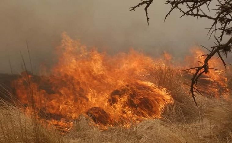 FOTO: Incendios forestales en Córdoba. (Foto: Daniel Cáceres/Cadena 3)