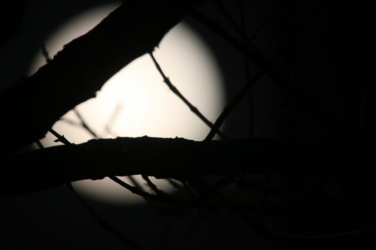FOTO: Superluna de Esturión: se puede ver en la primer noche de agosto