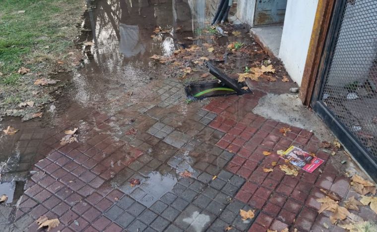 FOTO: Medidores de agua robados en la zona norte de Rosario.