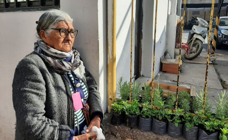 FOTO: La Policía le quitó y se llevó las plantitas que vende Cristina, de 79 años.