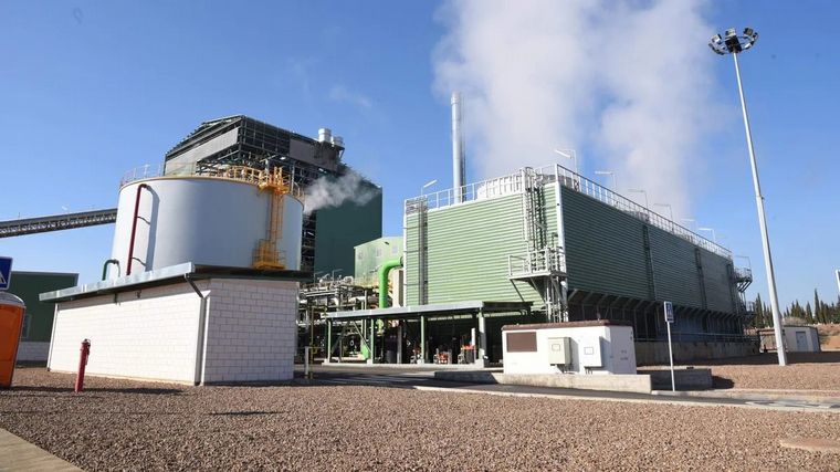 Ticino genera su propia electricidad con la cáscara del maní en Córdoba