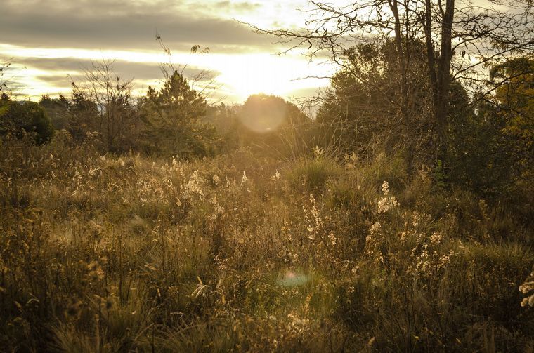 Atos Pampa está a 97 km de Córdoba y es único (Foto: Melisa Villaroel- Flickr)
