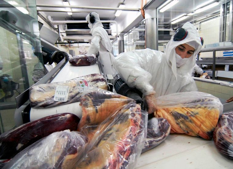 FOTO: "No hay suspensión de exportación de carne", dijo el secretario de Agricultura.