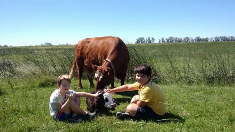 FOTO: Mascotas. Para los Larriera, las vacas eran parte de la familia.