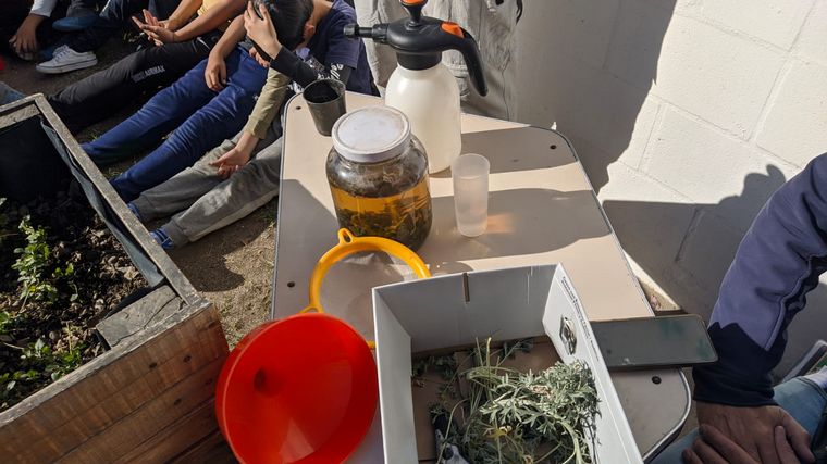 El “Maestro” Grimoldi y una clase de jardinería con estudiantes de primaria