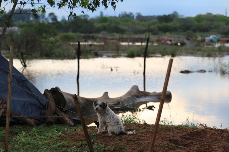 Un temporal de viento y lluvia azotó la zona sur de Misiones.