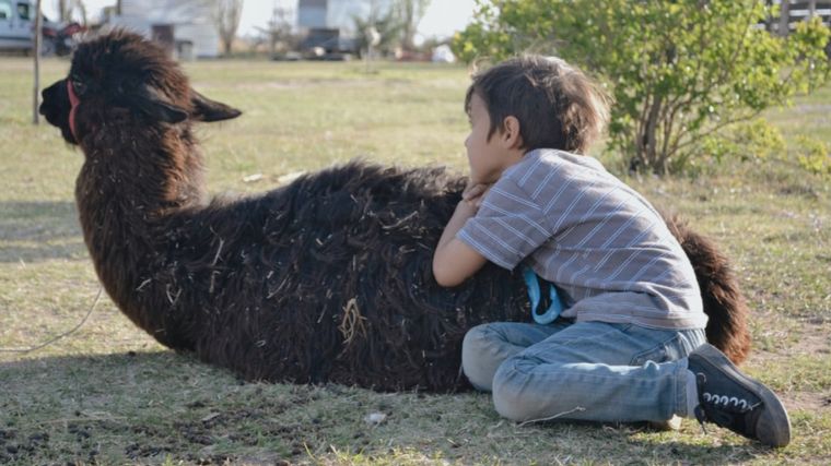 FOTO: Color Esperanza, un campamento que promete devolver la infancia