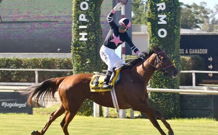 Belleza de Arteaga, el mejor caballo de carrera de Argentina. (Foto: Prensa Aduana)