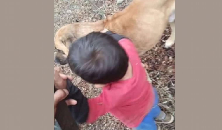 FOTO: Tras horas de angustia, todo fue emoción cuando hallaron al pequeño y su perro. 