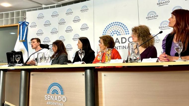 FOTO: Flavia Irós en el Senado, la discapacidad en agenda