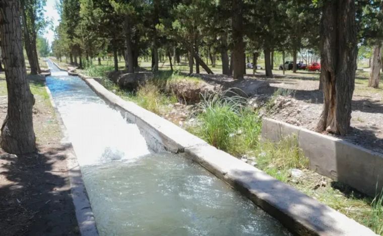 Mendoza: una pareja murió ahogada al intentar salvar a un perro.