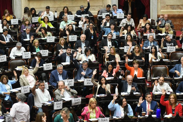 FOTO: El oficialismo aprobó en la Cámara baja la iniciativa promovida por Sergio Massa. 