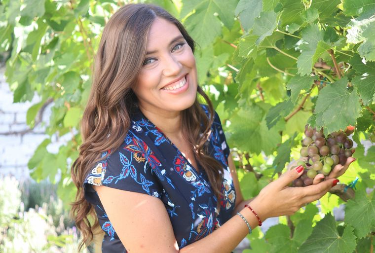 Torrontés Riojano, la única cepa con nombre y apellido 100% argentina