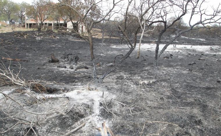 Así quedó Cabalango tras el paso del fuego. (Foto: Daniel Cáceres/Cadena 3)