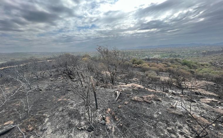 Devastación en Cabalango tras los incendios. (Foto: Daniel Cáceres/Cadena 3)