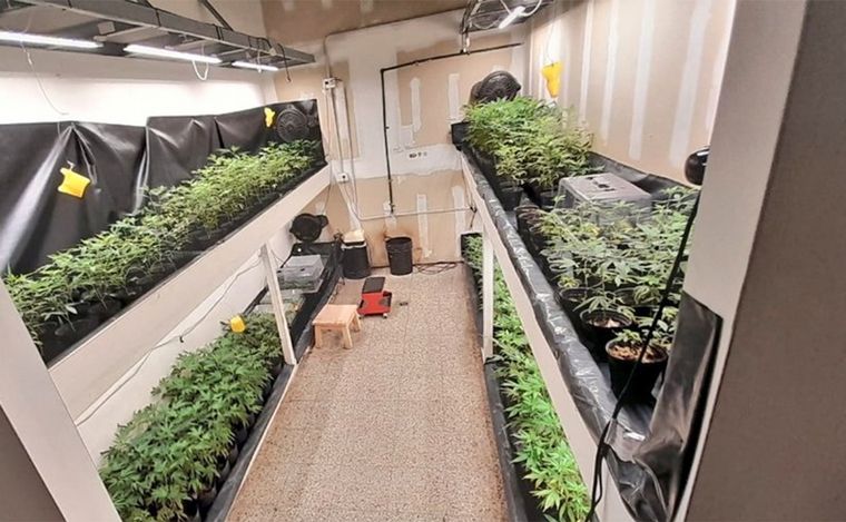 Detienen a un ingeniero y su hermano contador por enorme 