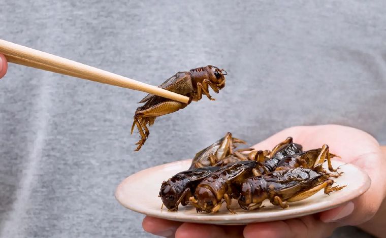 Gentileza: Antena 3.