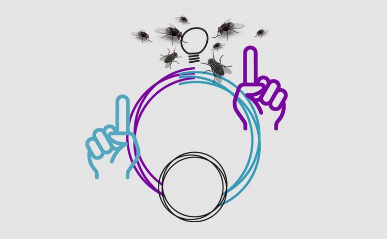 Fotoilustración Juan Pérez Gaudio.