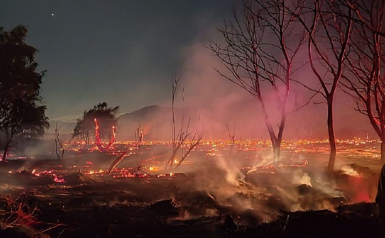 FOTO: Un incendio forestal en Salta arrasó más de 100 hectáreas y mató animales.