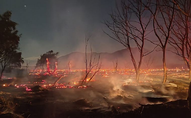 Un incendio forestal en Salta arrasó más de 100 hectáreas y mató animales.