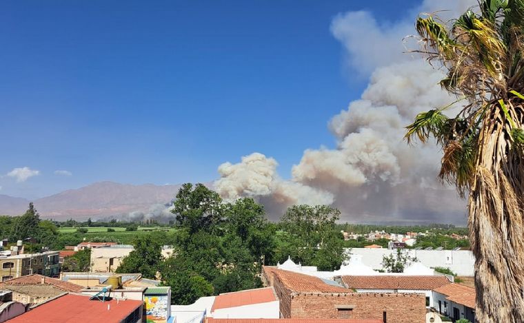 Un incendio forestal en Salta arrasó más de 100 hectáreas y mató animales.