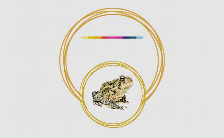 Fotoilustración: Juan Pérez Gaudio.