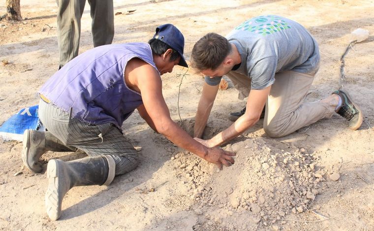 La fábrica de árboles Baum y Alianza Wichi se unieron para reforestar el Gran Chaco.