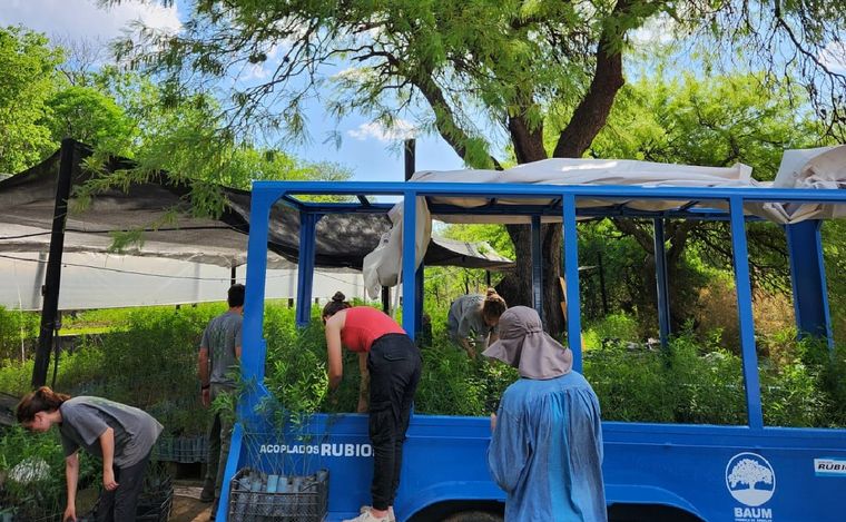 La fábrica de árboles Baum y Alianza Wichi se unieron para reforestar el Gran Chaco.