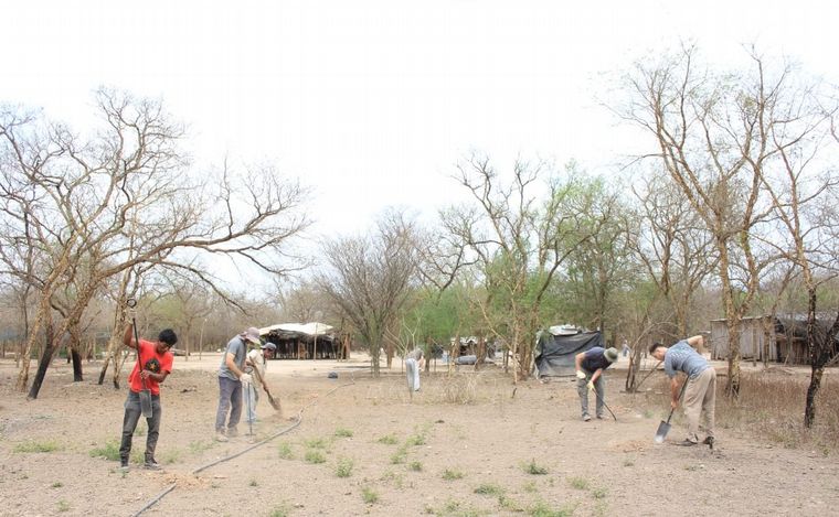 La fábrica de árboles Baum y Alianza Wichi se unieron para reforestar el Gran Chaco.