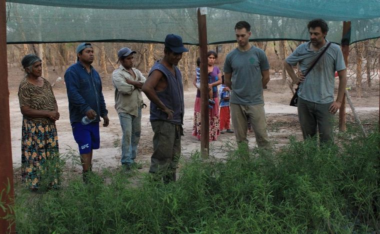 La fábrica de árboles Baum y Alianza Wichi se unieron para reforestar el Gran Chaco.