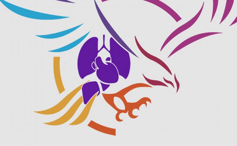 No hay “mercado” de órganos pagos: lo que hay es ignorancia