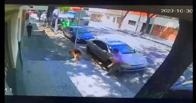 FOTO: Video: violento ataque de una mujer a un anciano con la correa del perro