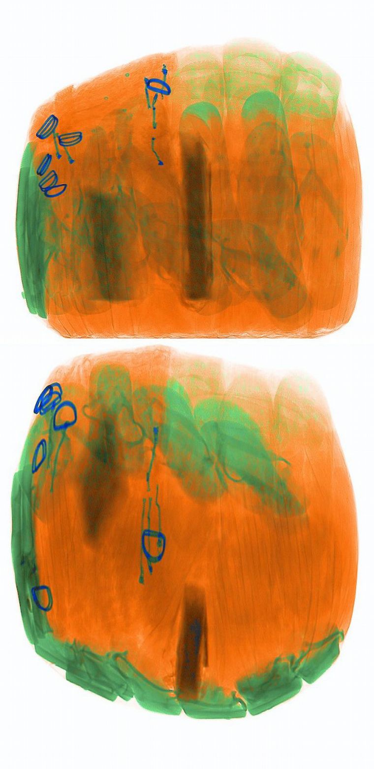 La sombra de una reconocida narco, hoy presa, detrás de 