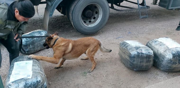 La sombra de una reconocida narco, hoy presa, detrás de 