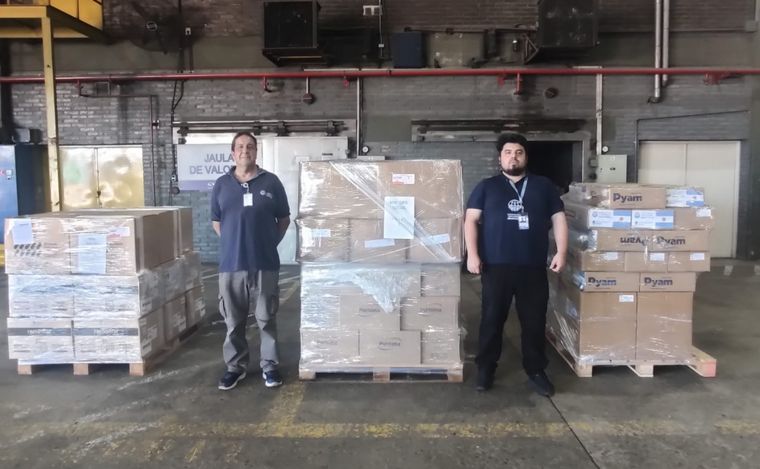 El Gobierno envió ayuda humanitaria para la Franja de Gaza (Foto: @CancilleríaARG).