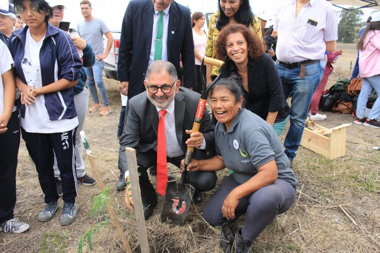 Baum busca recuperar el déficit de arbolado público. 