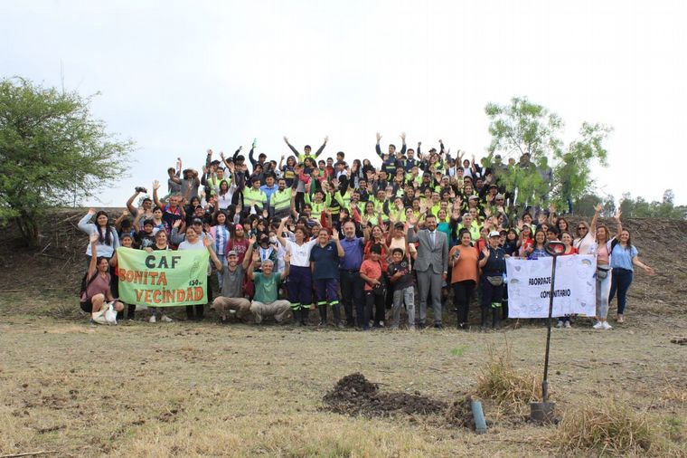 Baum busca recuperar el déficit de arbolado público. 